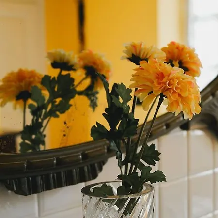 Villa Casa Fiorentino *