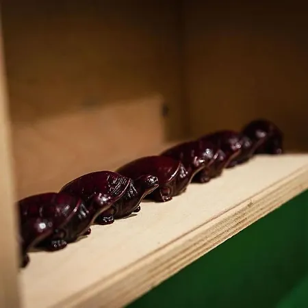 Casa Fiorentino Villa Canelli