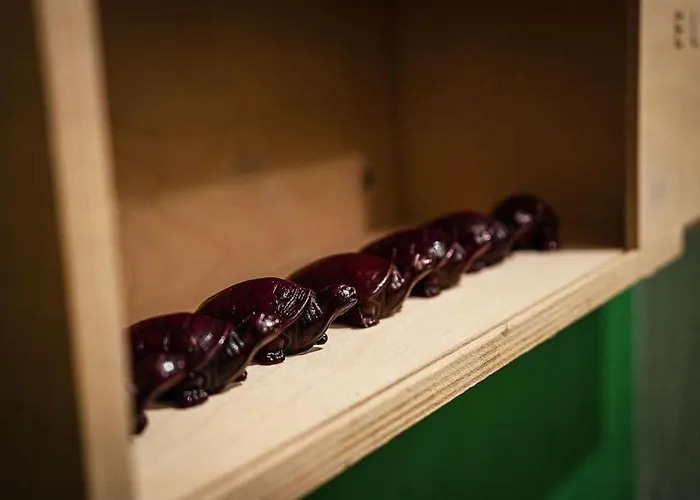 Casa Fiorentino Villa Canelli